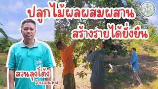 เกษตรอุดรออนทัวร์ EP.149 สวนลุงโต้ง ไม้ผลผสมผสาน สร้างรายได้ยั่งยืน อำเภอนายูง จังหวัดอุดรธานี