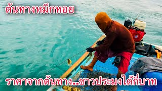 ต้นทางหมึกหอย..ชาวประมงได้กี่บาท..ออกเรือชมวิถีประมงพื้นบ้าน | วิถีพื้นบ้าน เดลิเวอรี่