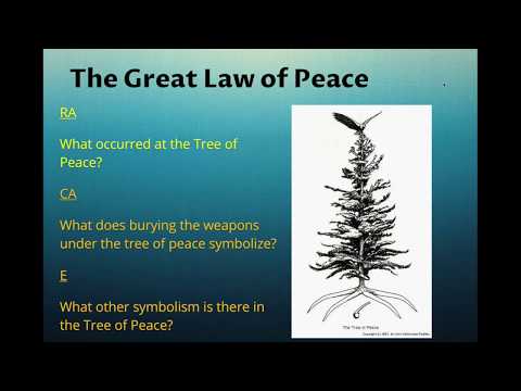 How did the Iroquois use trees?
