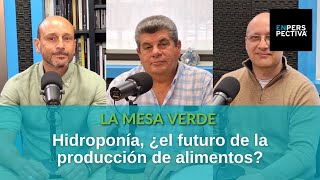 Hidroponía, ¿el futuro de la producción de alimentos?