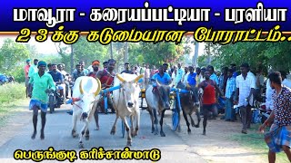 கரிச்சான் பெருங்குடி  31/03/2022 திருமயம் karichanmadu Perunkudi  ksk rekla race krish Studio kattum