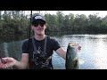 RECORD Day of FROG Fishing! (LOADED w GIANT Bass)