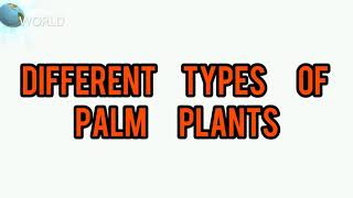 വിവിധതരം പാം     Different types of palm