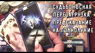 ПОЛНОЛУНИЕ Предсказание 🕛 Время ЗНАМЕНИЙ Вас ждут неожиданности сюрпризы 🎁❓️ Таро знаки Судьбы