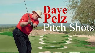 Chip Tip with Top Teacher Dave Pelz