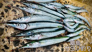 【離島】毎年恒例のサヨリ釣り！