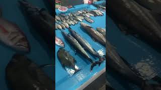 Reef fish of Maldives #maldivian #streetfood