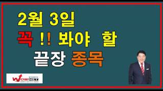 [주식]2월3일(월요일) 꼭!! 봐야 할 끝장종목/디피씨,메가엠디