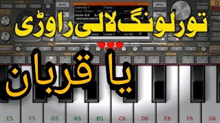 YaQoorbaaN| Tor Lawang Lali Rawari | Pashto Song On ORG 2022