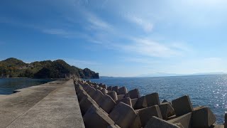 アラカブの楽園でした(長崎/茂木)