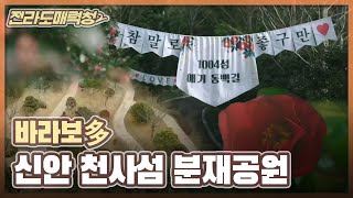 [전매청] 바라보多, 신안 천사섬 분재공원 ｜KBS 210112 방송