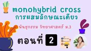 การผสมลักษณะเดียว monohybridcross พันธุกรรม (กฏของเมนเดล) ตอนที่ 2