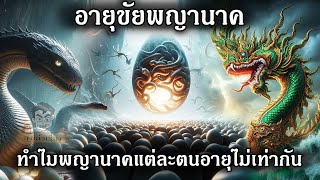 อายุขัยพญานาค ทำไมพญานาคแต่ละตนอายุไม่เท่ากัน #ครุฑ  #พญานาค #ตำนานพญานาค