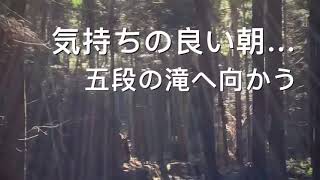 丹沢里山ハイキングシリーズ　梅の木尾根から見た裸地尾根を探しに大釜大弁財天道からハイキングoyajin005里山ハイキング