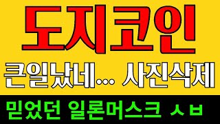 도지코인 시바이누 페페코인 봉크코인 - 밈코인 흐름분석 / 리플 비트르토큰