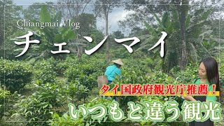 【タイ・チェンマイ観光】アラクサティーガーデン Araksa tea garden（タイ チェンマイ）で茶積み体験！