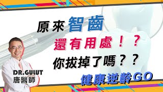 健康逆齡GO-04:原來智齒還有用處!?你拔掉了嗎?