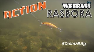 WEEBASS : RASBORA  (ACTION)