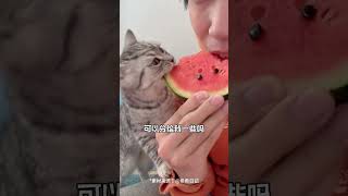 猫咪做梦都想让你知道的六件事，泪目了！猫咪不能吃的 猫咪走丢 猫咪睡觉 宠物知识 养宠经验分享