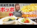 【伝説のポテト】あのメガ盛りポテトで有名なフードコートのお店に行ってみた！！【ポッポ】