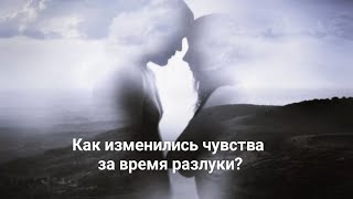 Как изменились чувства и отношения к Вам за время разлуки?