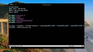PostgreSQL Database Backup Automation