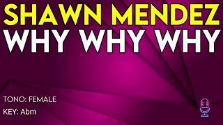 Shawn Mendez - Why Why Why - Karaoke Instrumental - Female