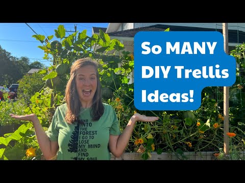 How high are freestanding trellis?