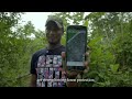 Protecting Migratory Birds and Their Habitats