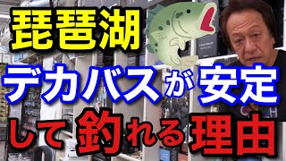 【村田基】「琵琶湖はリリ禁で駆除されているのにデカバスがなぜ安定して釣れるの？」その理由がヤバすぎる！？一体なぜ琵琶湖でデカバスが安定して釣れるのか。