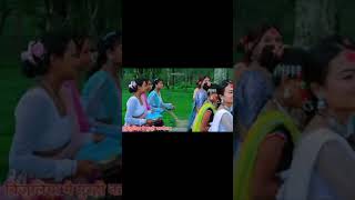 थारु समुदायको मौलिक सास्कृतिक झल्काउने कला बिजुलिया #youtube #music