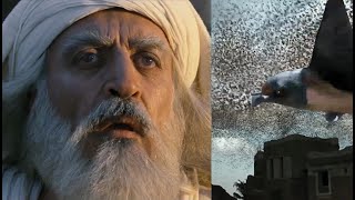 Makkah Live Ababil Bird in Makkah !| Ababeel Birds | Kaaba History Ababil Birds | History Movie