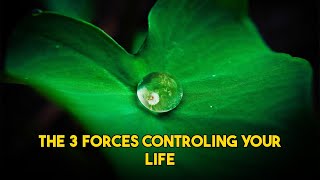 Unlock the Secret Code: 3 Hidden Forces Shaping Your Reality