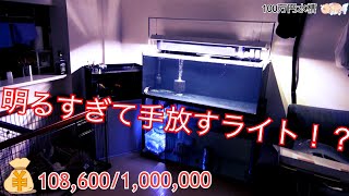 【100万円水槽】明るすぎて手放すライト！？ 高級金魚水槽にライトを設置