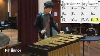 Autumn Leaves 12 Keys Challenge (vibraphone)