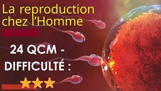 La Reproduction (médecine) - 24 QCM - Difficulté : ⭐⭐⭐