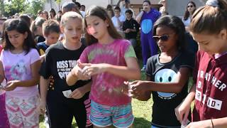 IDEAL School Butterfly Release