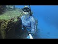 barbados shipwreck paradise the pamir freedive