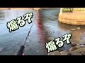 山口県【初心者🔰エギング 56】瀬戸内海！笠戸島で新子調査！ついに●●●が釣れ喰らう！秋イカシーズン開幕！笠戸大橋の下！9月中旬前