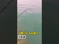 高級巨魚を力で捻じ伏せると...【沖縄ルアー釣り】 shorts