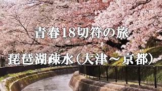 琵琶湖疎水　桜　大津～京都