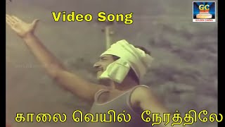 காலை வெயில்  நேரத்திலே |  Kaalai Veyil Nerathile | Tamil Video Song | HD