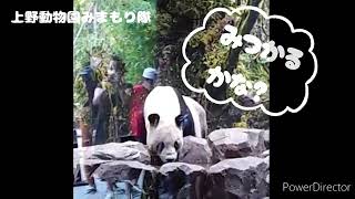 『お宝(おやつ)への旅』上野動物園みまもり隊☆パトロール記録