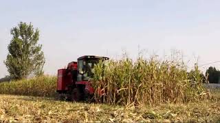 4YZ 3W  corn harvester working 1