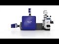 new dragonfly 600 confocal microscope system