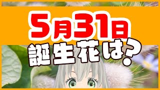 【花言葉】5月31日の誕生花は？／花白もか