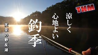 【天空の野反湖】涼しくて心地よい野反湖　R5 8 26ニシブタワンド　禿の下　釣果