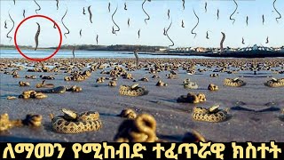 እጅግ ለማመን የሚከብዱ ክስተቶች ተፈጠሩ