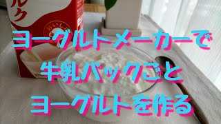 【 牛乳パックで作る 】プレーンヨーグルト