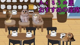 ふくろうカフェおすすめの座席～ふくろうのかまってアピールを堪能～【Owl Village's recommended seating.～Enjoy the owl's appeal～】